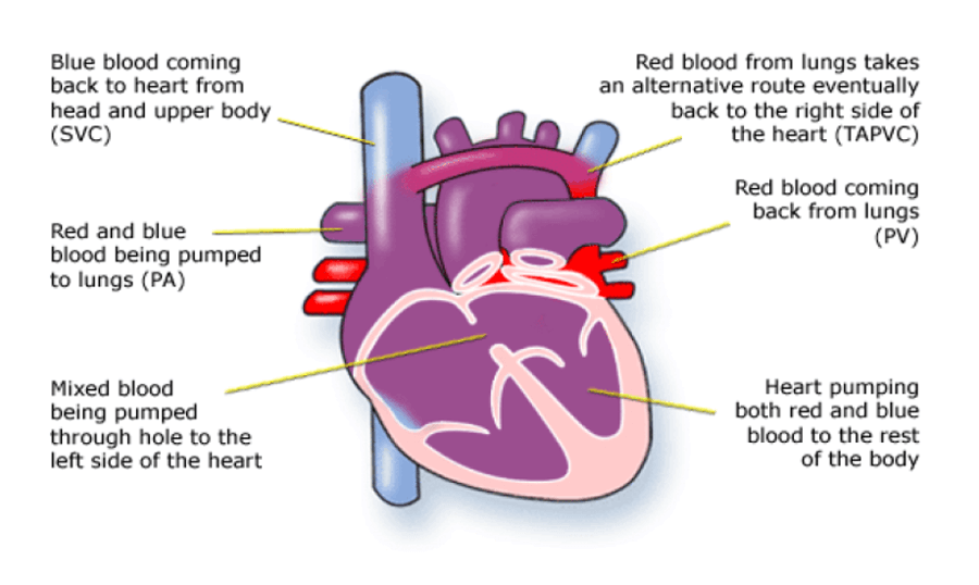 Leaflet Image